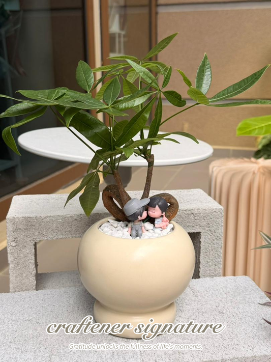 Love Growth Plant