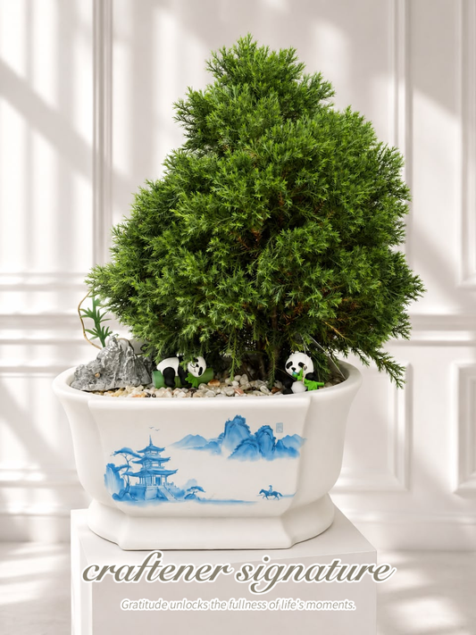 Craftener Signature Foggy Pine Mini Landscape Bonsai