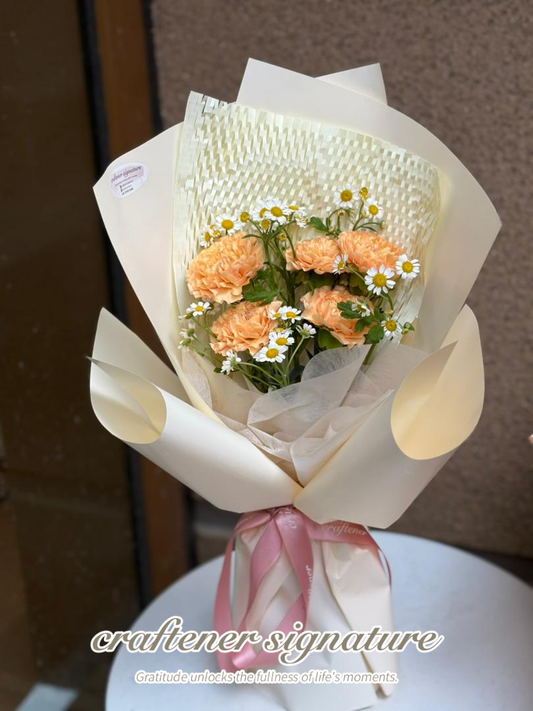 Mother’s Day Carnation Series 🌸