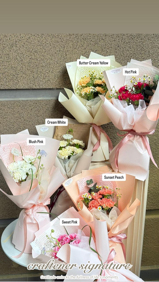 Mother’s Day Carnation Series 🌸