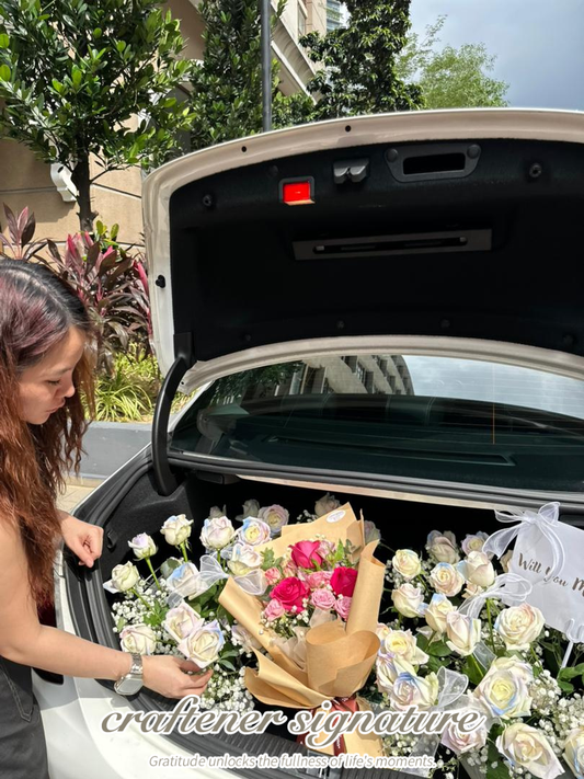 Car Trunk Proposal Setup
