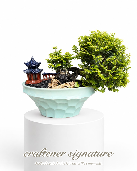 Craftener Signature Fukien Tea Bonsai in Ceramic Pot