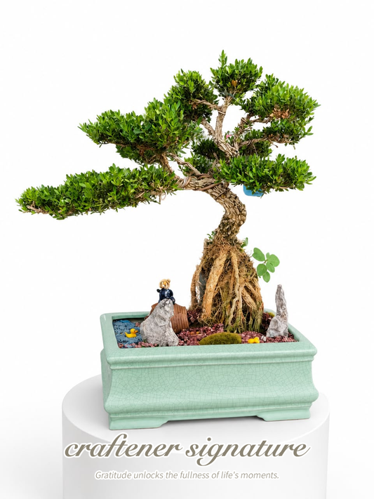 Craftener Signature Huang Yang Exposed Root Bonsai